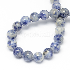 Natural Blue Spot Jasper Bead Strands&nbsp;X-G-R193-15-6mm
