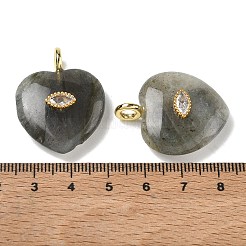 Natural Labradorite Pendants&nbsp;G-P585-03G-21