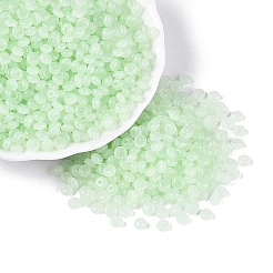 Transparent Glass Seed Beads&nbsp;SEED-Q041-01J