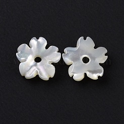 Natural White Shell Beads&nbsp;SHEL-F002-04