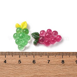 クリア樹脂カボション  果物と野菜  ミックスカラー  15.5~20.5x11.5~16x6~10mm&nbsp;CRES-Q012-03
