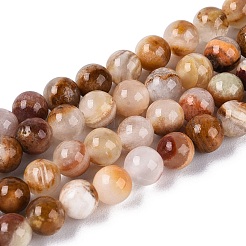 Natural Wood Lace Stone Wooden Jasper Beads Strands&nbsp;G-B128-A04-01