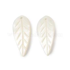 Natural Sea Shell Pendants&nbsp;SSHEL-T012-12