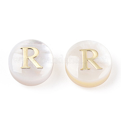 Natural Freshwater Shell Beads&nbsp;SHEL-N036-01R