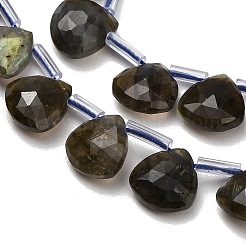 天然石ラブラドライトビーズ連売り  多面カットティアドロップ  プラスチックチューブビーズ付き  12x12~12.5x5.5~6mm  穴：1mm  約28個/連  15.75インチ（40cm）&nbsp;G-C292-A09-01