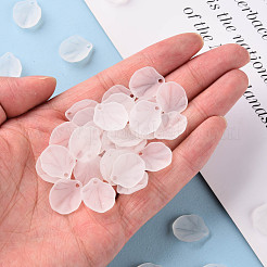 Transparent Frosted Acrylic Pendants&nbsp;MACR-S371-02A-701