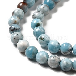 Natural Gemstone Beads Strands&nbsp;G-F730-02A