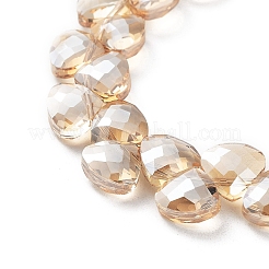 Electroplate Triangle Glass Beads Strands&nbsp;EGLA-A036-11A-PL04
