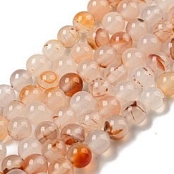 Natural Red Dendritic Agate Beads Strands&nbsp;G-A232-A02-02