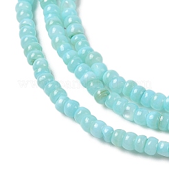 天然淡水シェルビーズ連売り  染め  ロンデル  アクアマリン  3x2mm  穴：0.5mm  約183~186個/連  14.96''（38センチメートル）&nbsp;SHEL-P017-01B-03