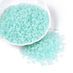 Transparent Frosted Colours Glass Seed Beads&nbsp;SEED-T007-12G
