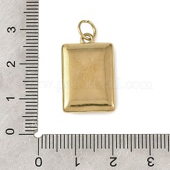 Baking Paint 304 Stainless Steel Pendants&nbsp;STAS-C178-01C