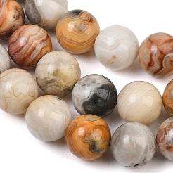 Natural Crazy Lace Agate Beads Strands&nbsp;G-S259-38-10mm