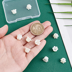 10Pcs Natural Sea Shell Carved Beads&nbsp;SHEL-PH0001-64