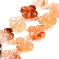 天然石瑪瑙ビーズ連売り  4  - 花びらの花  16x15.5x5.5mm  穴：1mm  約24個/連  2.76''（7センチメートル）&nbsp;G-H024-C01-01