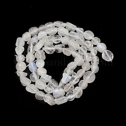 天然レインボー ムーンストーン ビーズ 連売り  ナゲット  タンブルストーン  6~11x6~8x4~7mm  穴：1mm  約49~51個/連  15.35~15.75''（39~40センチメートル）&nbsp;G-Q060-D12