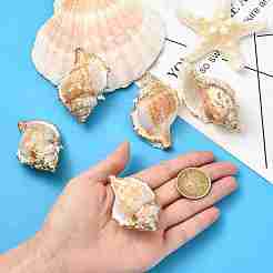 5Pcs Natural Sea Shell Big Pendants with Golden Brass Edge&nbsp;BSHE-YW0001-16