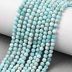 Natural Amazonite Beads Strands&nbsp;G-F619-26-3mm