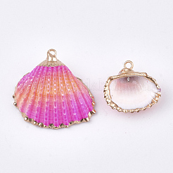 スプレー式塗料＆貝殻ペンダント  鉄パーツ  ライトゴールド  ミックスカラー  19~28x20~30x7~11mm  穴：2mm&nbsp;SSHEL-S262-07