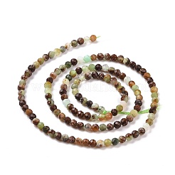 Natural Chrysoprase Beads Strands&nbsp;G-E591-08B