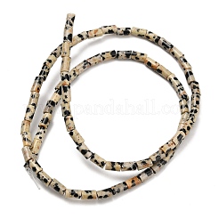 Natural Dalmatian Jasper Beads Strands&nbsp;G-P600-B01-01