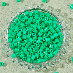 PE DIY メルティビーズ ヒューズビーズ リフィル 2000個  チューブ  グリーン  5x5mm  穴：3mm&nbsp;DIY-SP0004-73A