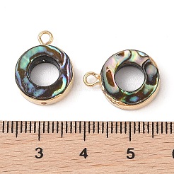 天然パウアシェルペンダント  真鍮の縁取りのリングチャーム  ゴールドカラー  16.5x13x3.5mm  穴：1.8mm&nbsp;SHEL-P017-18G