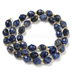Natural Sodalite Beads Strands&nbsp;G-N342-37