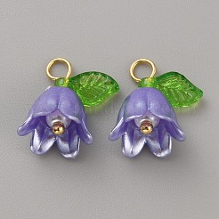 Acrylic Charms&nbsp;KY-TAC0009-03D