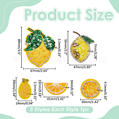 5Pcs 5 Styles Computerized Embroidery Cloth Iron on/Sew on Patches&nbsp;PATC-WR0001-29