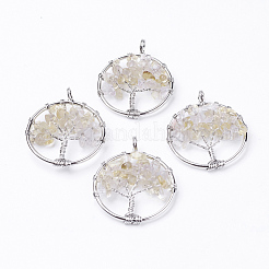 Natural Citrine Pendants&nbsp;G-E419-11P