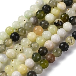 Natural New Jade Beads Strands&nbsp;G-F591-16-6MM