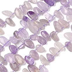 Natural Amethyst Beads Strands&nbsp;G-P604-A09-01