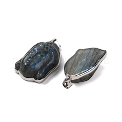 Natural Labradorite Carved Pendants&nbsp;G-B085-13P