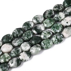天然グリーンスポットジャスパービーズ連売り  フラットオーバル  8x6x4mm  穴：0.8mm  約48~49個/連  14.88~15.16''（37.8~38.5センチメートル）&nbsp;G-T142-26