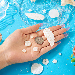 14Pcs 7 Styles Natural Freshwater Shell Pendants&nbsp;SHEL-TA0001-24