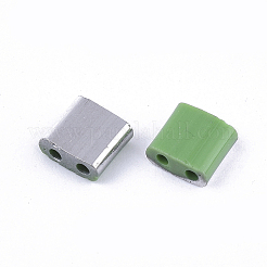 FGB 2-Hole Glass Seed Beads&nbsp;SEED-S031-L-047-K