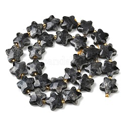 Natural Larvikite Beads Strands&nbsp;G-P573-C11-01