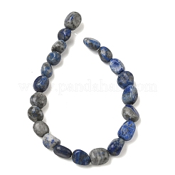 Natural Lapis Lazuli Beads Strands&nbsp;G-C286-A06