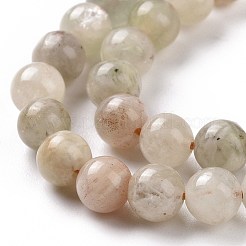 Natural Arusha Sunstone Beads Strands&nbsp;G-P488-04A