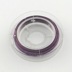 タイガーテールワイヤー  ナイロン被覆ステンレス鋼  パープル  0.38mm  約32.8フィート（10m）/ロール&nbsp;TWIR-S001-0.38mm-13