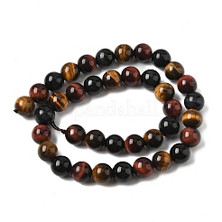 Natural Tiger Eye Beads Strands&nbsp;G-F173-14-10mm