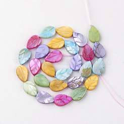 Natural Freshwater Shell Beads&nbsp;SHEL-Q008-05