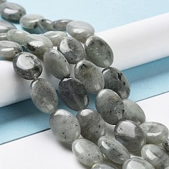 天然石ラブラドライトビーズ連売り  フラットオーバル  17.5~18x12.5~13x6mm  穴：1.2mm  約22個/連  15.55''（39.5センチメートル）&nbsp;X-G-L164-A-34
