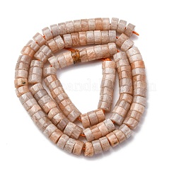 Natural Sunstone Beads Strands&nbsp;G-Z006-C44