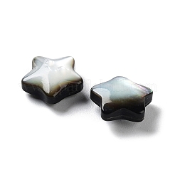 天然な黒リップシェルビーズ  淡水シェル  スター  ブラック  10x10x4.5mm  穴：0.8mm&nbsp;SHEL-M020-02B