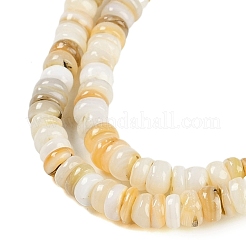 天然淡水シェルビーズ連売り  ロンデル  フローラルホワイト  5.5~6x2~3.5mm  穴：0.8mm  約150~155個/連  14.96~15.75''（38~40センチメートル）&nbsp;BSHE-H109-13B