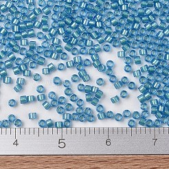 MIYUKI Delica Beads&nbsp;SEED-JP0008-DB1709