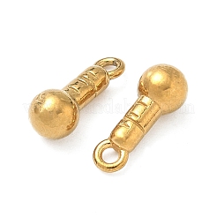 304 Stainless Steel Charms&nbsp;STAS-P439-01A-G