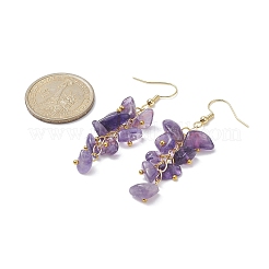 Natural Amethyst Chips Dangle Earrings&nbsp;EJEW-JE05266-01